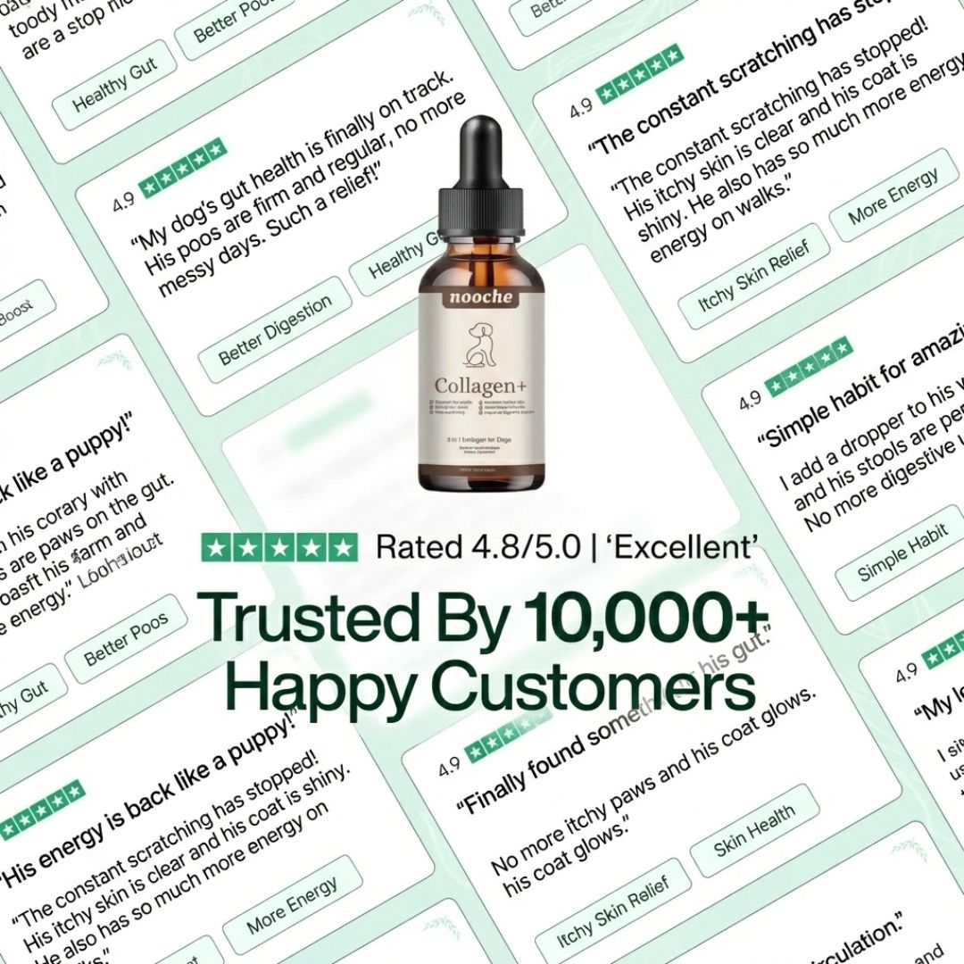 9-in-1 Advanced Liquid Collagen